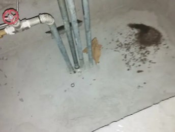 下花园卫生间测漏水价格明细