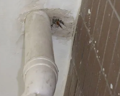 下花园漏水检测哪家好